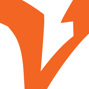 VidyaTime Logo